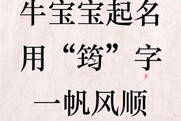 牛年宝宝起名大全：出生孩子的寓意与选择指南