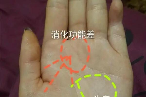 扫一扫看手相，轻松发现你的个性与未来趋势