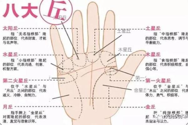 扫一扫看手相，轻松发现你的个性与未来趋势