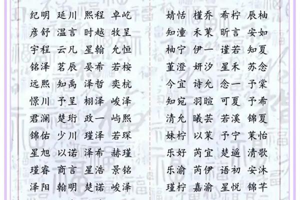 男宝宝起名指南精选 免费推荐创意男孩名字大全