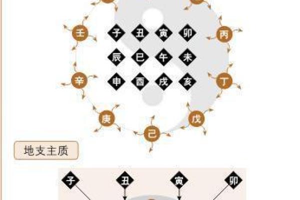 蜜蜡在五行中的属性解析与应用技巧