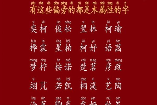 羊年宝宝起名字的最佳选择与常见误区