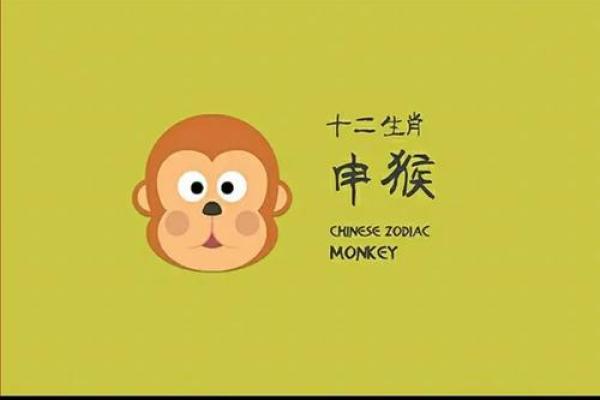 猫的五行属性解析与性格特点分析