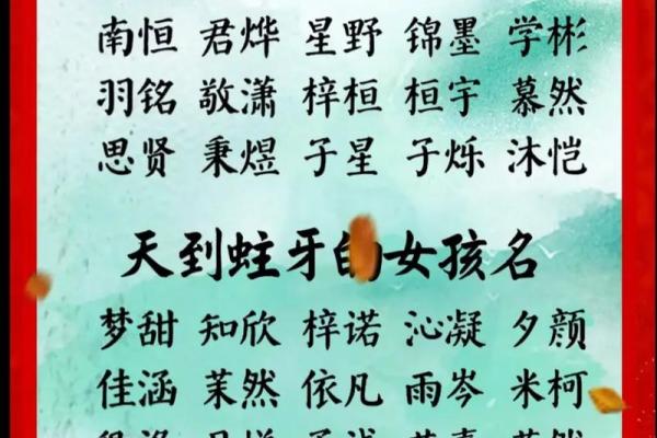 宝宝起名打分系统：帮你选出最佳名字