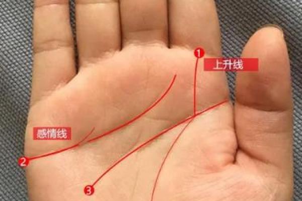 了解看手相的真相：信与不信的辩证思考