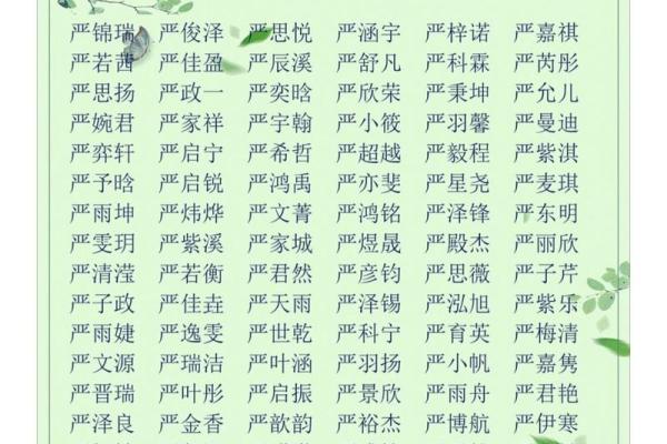马年宝宝起名指南：如何为孩子选择一个寓意深远的名字