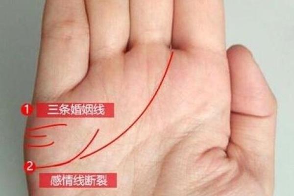 看手相的准确性到底有多高？能信吗？