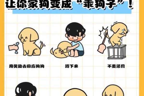 狗宝宝起名字的五个实用技巧
