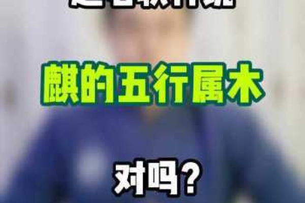 麒字五行属性分析及其文化含义