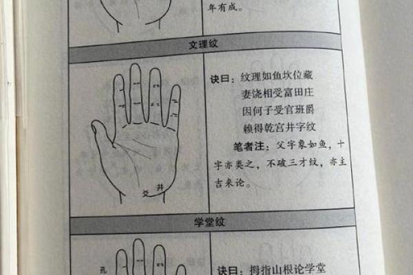 学会看手相的五个步骤，轻松解读命运之线