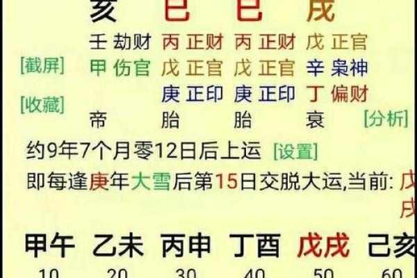 命理揭秘：正官藏地支与豪门姻缘的深层联系