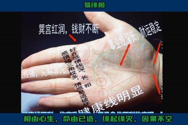 手相揭秘：好命女人的人生赢家之道