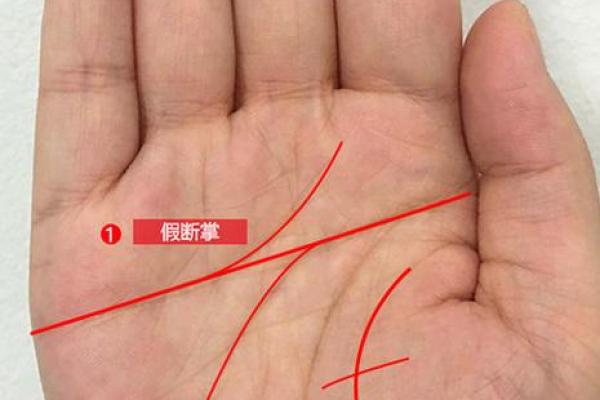 手相揭秘：好命女人的人生赢家之道