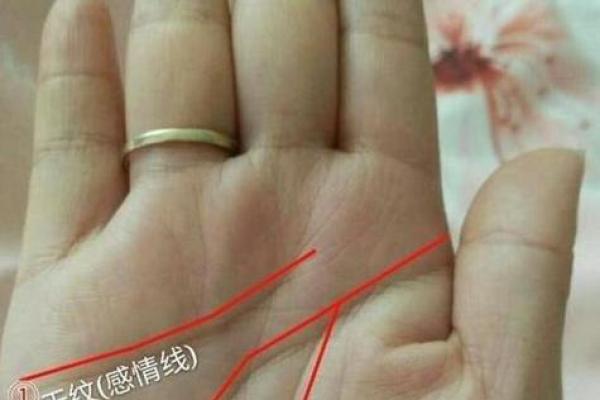 手中藏秘：婚姻线读心术，预知你的幸福姻缘