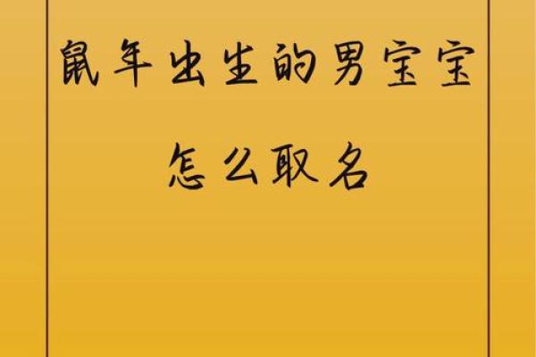 鼠宝宝起名攻略：温馨鼠年好寓意名