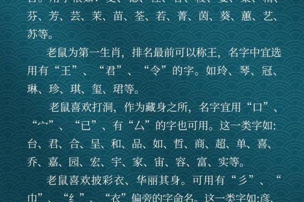灵动鼠宝宝起名指南：吉祥如意好名精选