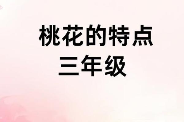 地支三桃花揭秘：你的命中桃花在这里