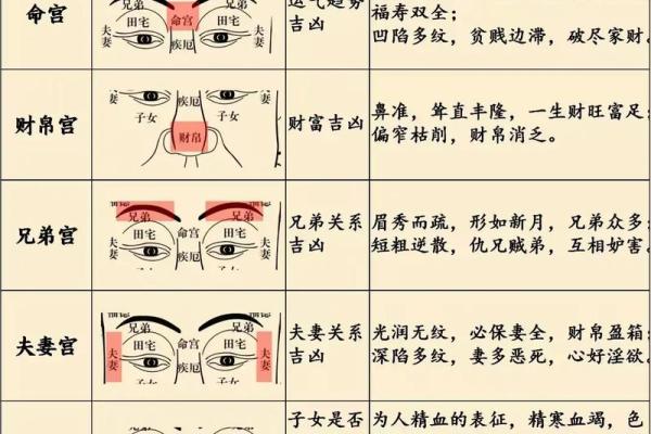 面相真的准确吗？揭秘面相学的科学依据与神秘传说