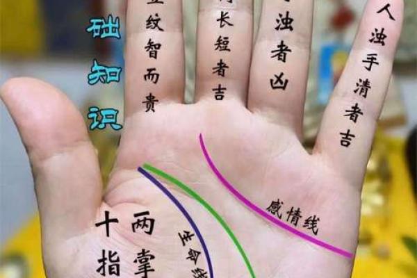 爆款手相揭秘：爪子形状透露惊人命运！