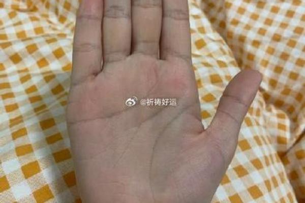 爆款手相揭秘：爪子形状透露惊人命运！