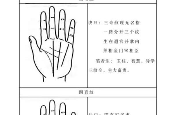 解锁手相奥秘：手相入门必备宝典