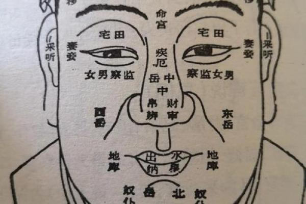 面相真有科学依据？揭秘面相学的神秘面纱