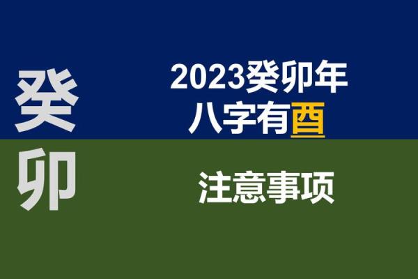运势解码：一语道破，八字背后的秘密宝藏