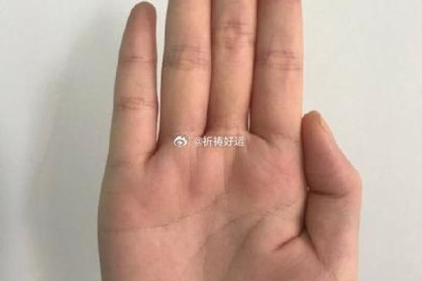 手中藏秘密：手相断人术，揭秘命运之谜
