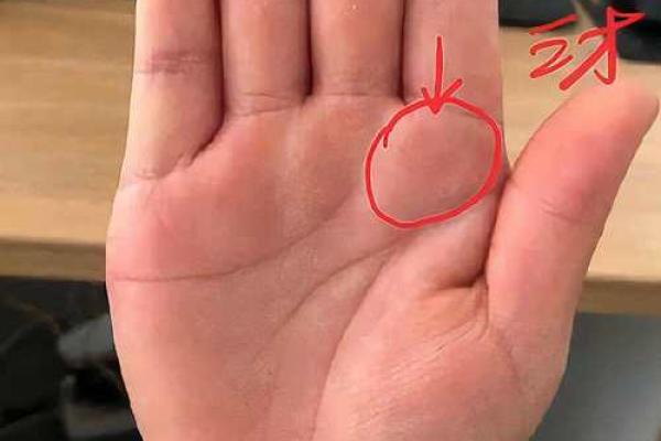 掌中欲望：手相揭秘你的色相秘密！