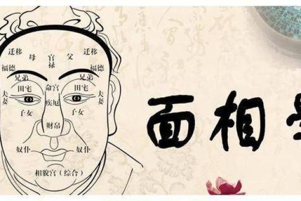 晚婚者的幸福密码：命理大师为你解读人生新篇章