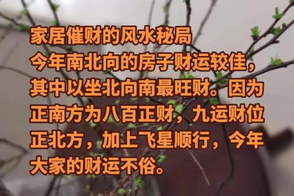 一招教你找到风水宝地，财运滚滚来，家宅兴旺！