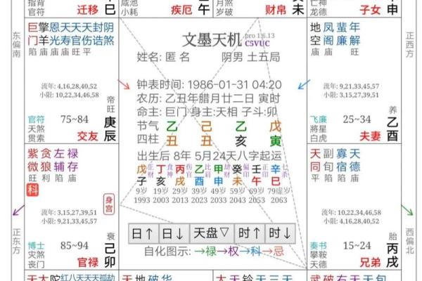 生辰八字与紫薇命理的深度解析