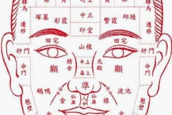 面相揭秘：鼻子运势解析，财运事业两相宜