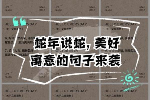 木蛇运势大解析：精准把握，让你的事业更上一层楼！