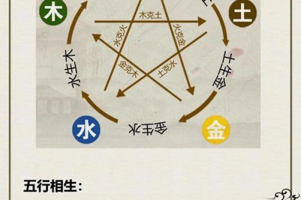五行木与其他五行元素的克制关系详解