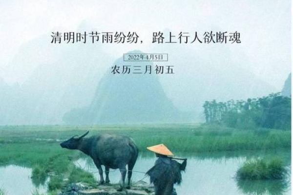 安康之韵，命运之窗——女孩姓名安康的运势解析