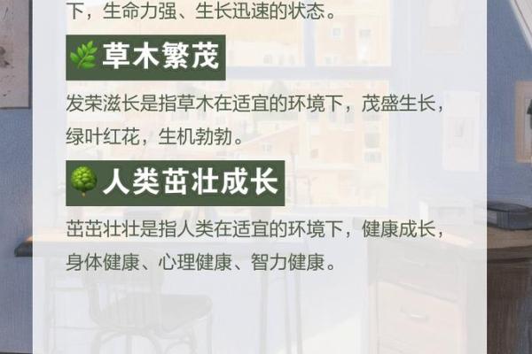 建设宝宝名，寓意成长与繁荣