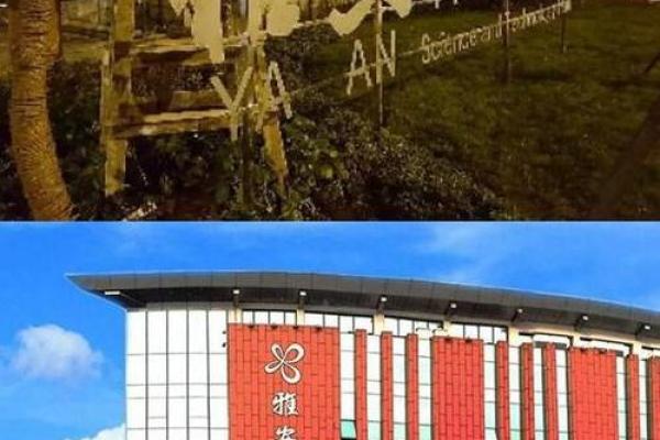 陈励：名字背后的独特韵味与寓愿