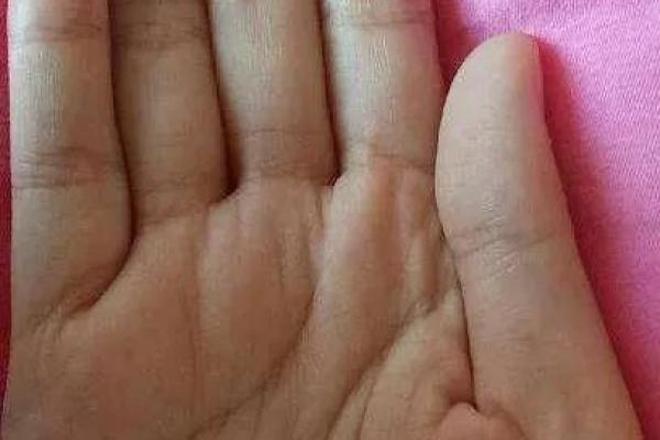 手中藏富贵，相术秘籍大揭秘
