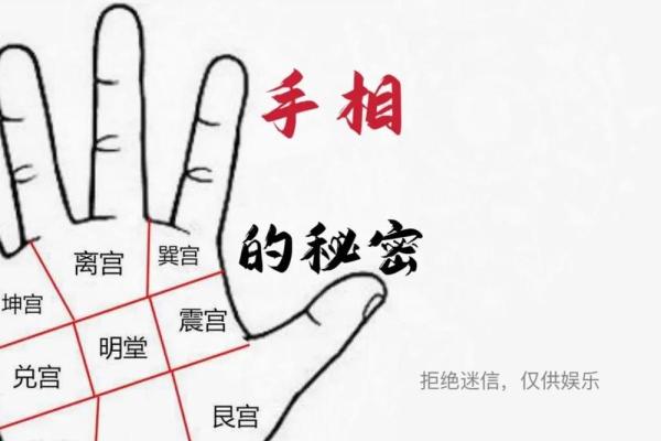 手中藏富贵，相术秘籍大揭秘