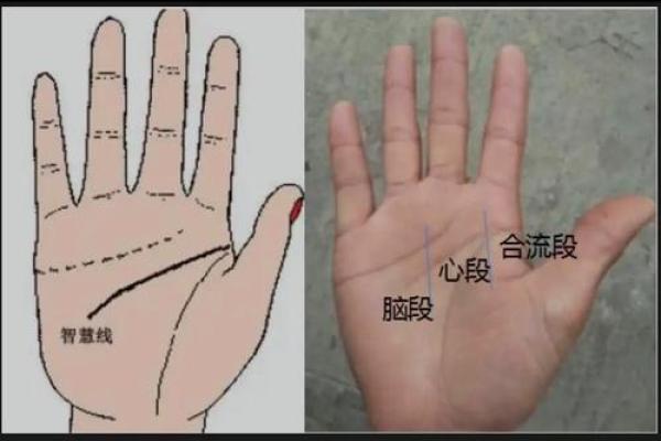 解锁神秘潜能：脑纹手相揭秘人生密码
