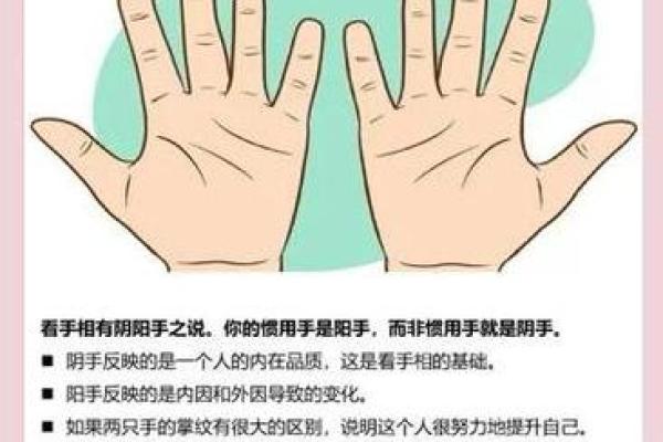 老实人手相揭秘：命运线暗示的惊人秘密