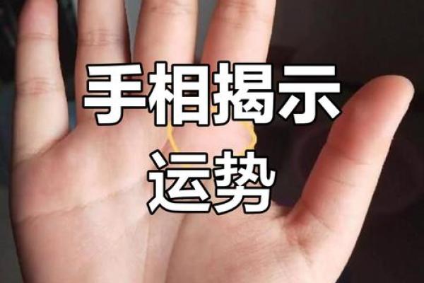 老实人手相揭秘：命运线暗示的惊人秘密