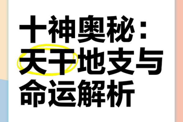 探秘命运轨迹：地支十神教你把握人生方向