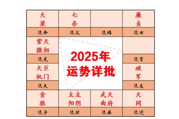 财富运势新解读：地支藏干中的财星奥秘