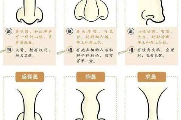 眉平天际，财运亨通的神秘面相解码