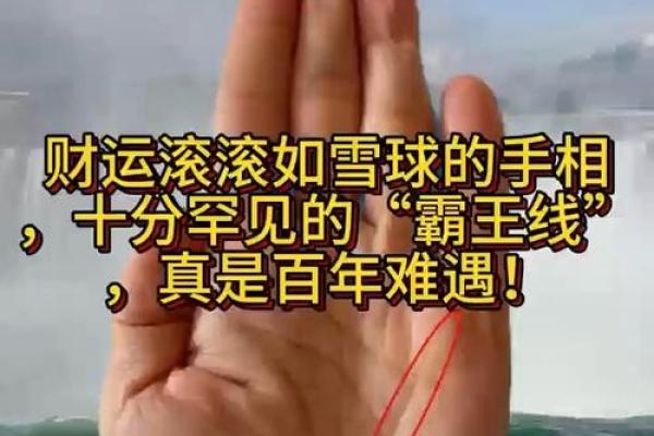 鱼纹手相揭秘：财运亨通的秘密武器