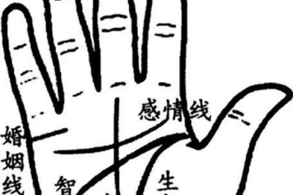 一招手相术，洞悉你的人生轨迹！