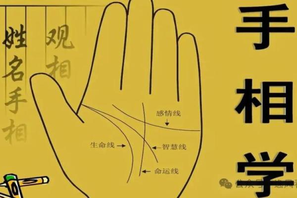 一招手相术，洞悉你的人生轨迹！
