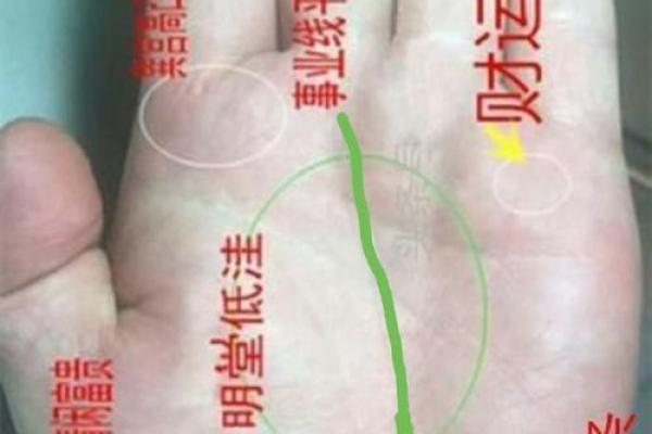 一指定乾坤，手相赌钱玩法大揭秘